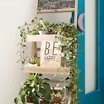 Elisir B&B 3*