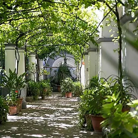 Elisir Anacapri (Isola di Capri)
