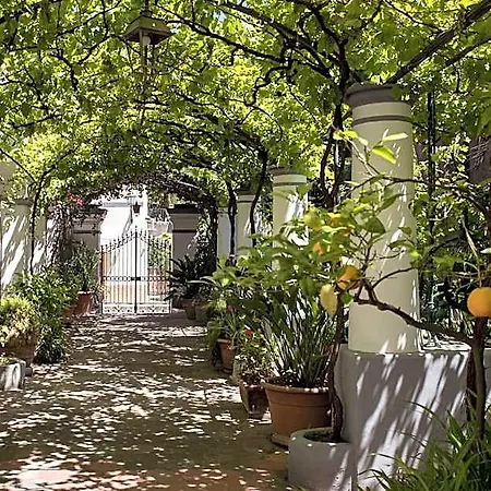 Bed & Breakfast Elisir 3*