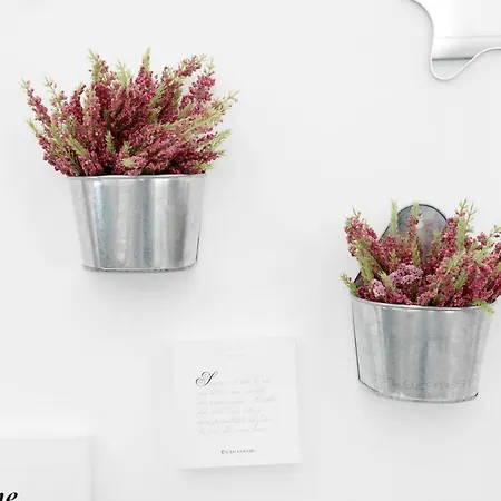 Elisir Alojamento de Acomodação e Pequeno-almoço