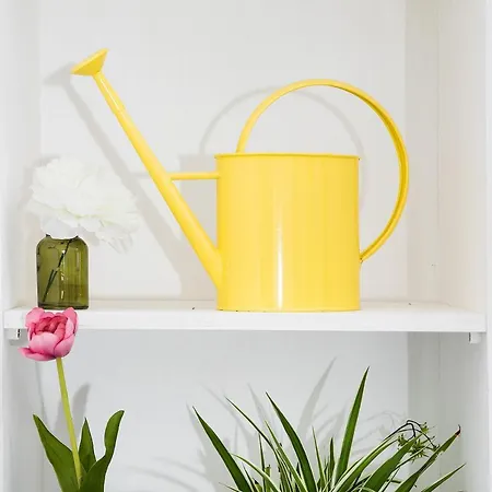 Elisir Alojamento de Acomodação e Pequeno-almoço