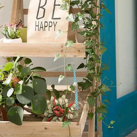 Alojamento de Acomodação e Pequeno-almoço Elisir